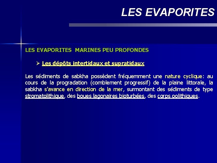 LES EVAPORITES MARINES PEU PROFONDES Ø Les dépôts intertidaux et supratidaux Les sédiments de