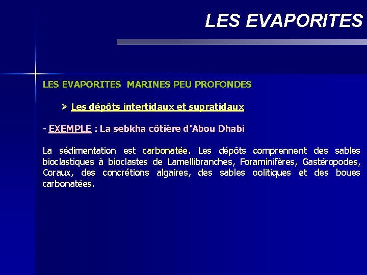 LES EVAPORITES MARINES PEU PROFONDES Ø Les dépôts intertidaux et supratidaux - EXEMPLE :