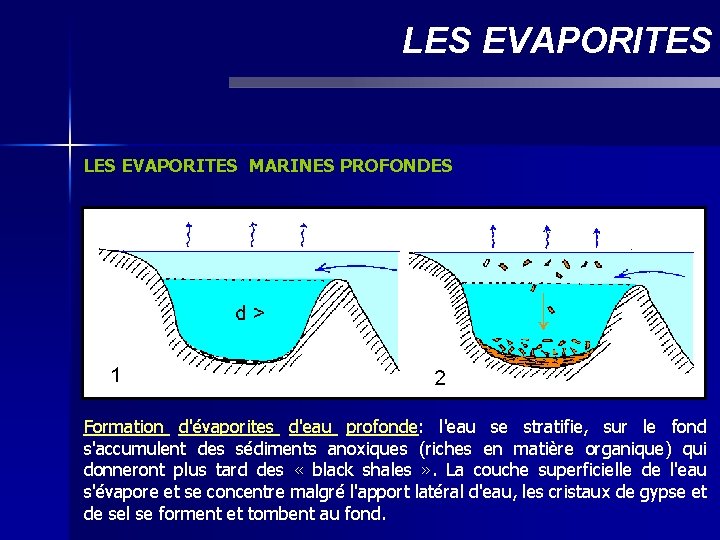 LES EVAPORITES MARINES PROFONDES Formation d'évaporites d'eau profonde: profonde l'eau se stratifie, sur le