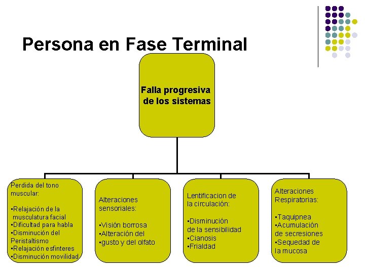 Persona en Fase Terminal Falla progresiva de los sistemas Perdida del tono muscular: •