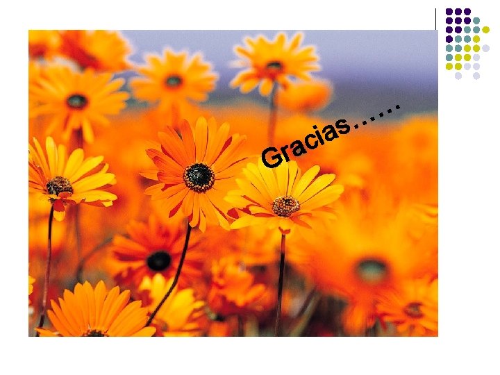 … … Gr s a i ac 