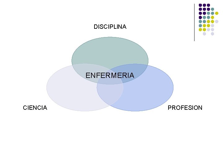 DISCIPLINA ENFERMERIA CIENCIA PROFESION 