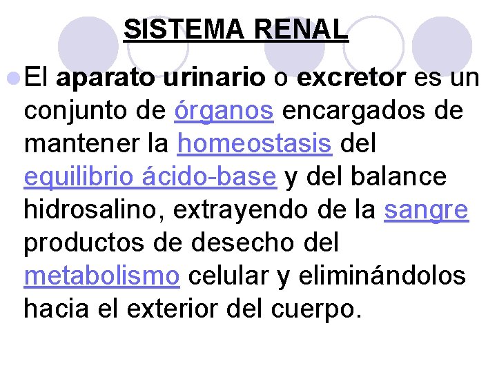 SISTEMA RENAL l El aparato urinario o excretor es un conjunto de órganos encargados