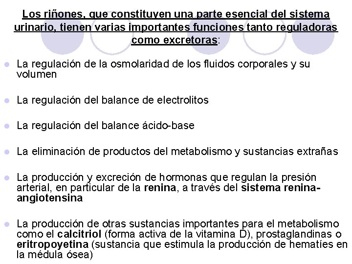 Los riñones, que constituyen una parte esencial del sistema urinario, tienen varias importantes funciones