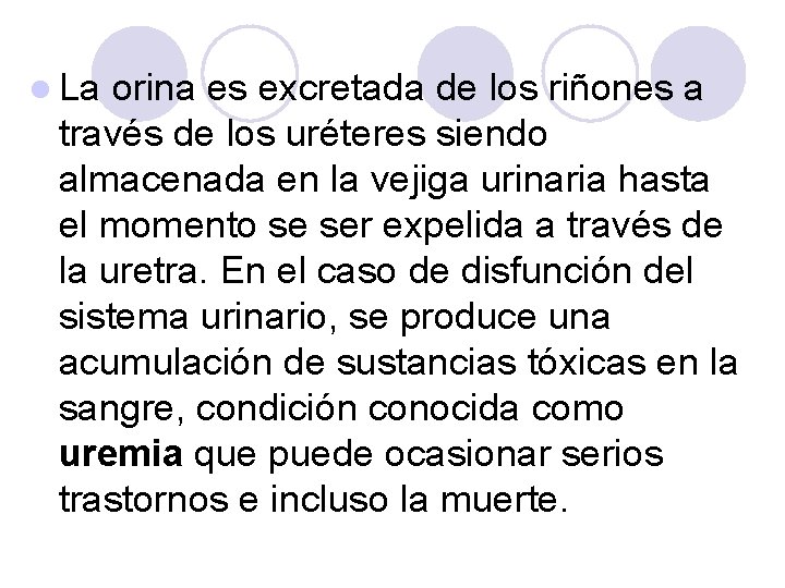 l La orina es excretada de los riñones a través de los uréteres siendo