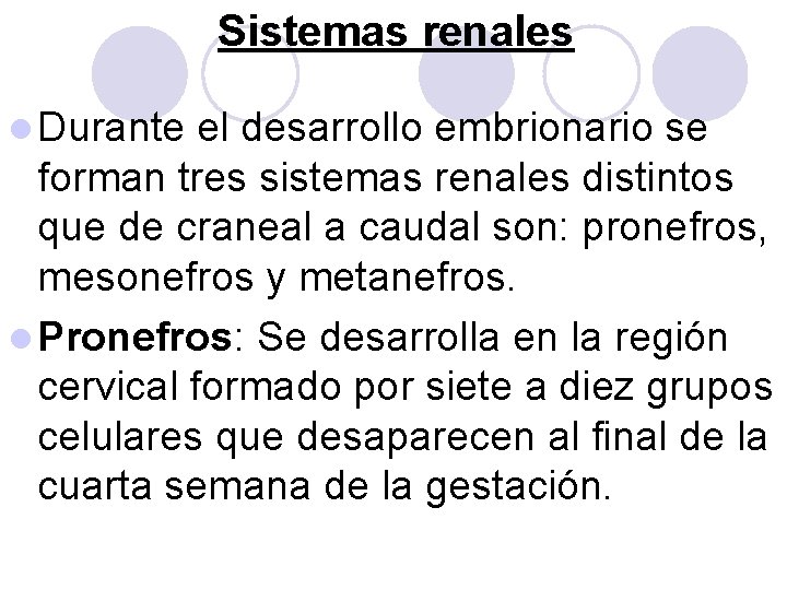Sistemas renales l Durante el desarrollo embrionario se forman tres sistemas renales distintos que