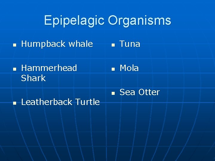 Epipelagic Organisms n n n Humpback whale Hammerhead Shark Leatherback Turtle n Tuna n