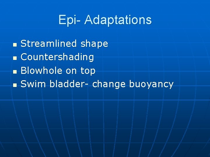 Epi- Adaptations n n Streamlined shape Countershading Blowhole on top Swim bladder- change buoyancy