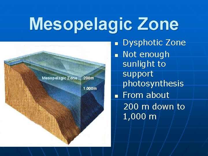 Mesopelagic Zone n n Mesopelagic Zone 200 m 1, 000 m n Dysphotic Zone