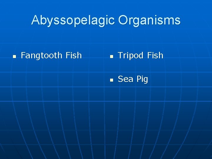 Abyssopelagic Organisms n Fangtooth Fish n Tripod Fish n Sea Pig 