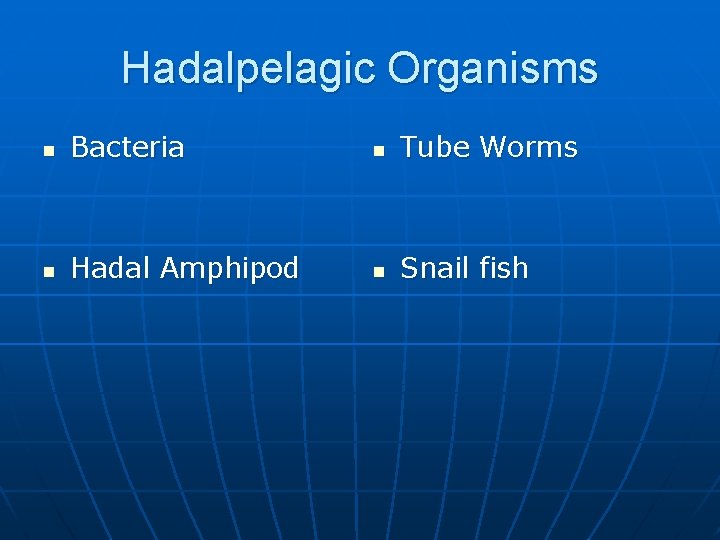 Hadalpelagic Organisms n Bacteria n Tube Worms n Hadal Amphipod n Snail fish 