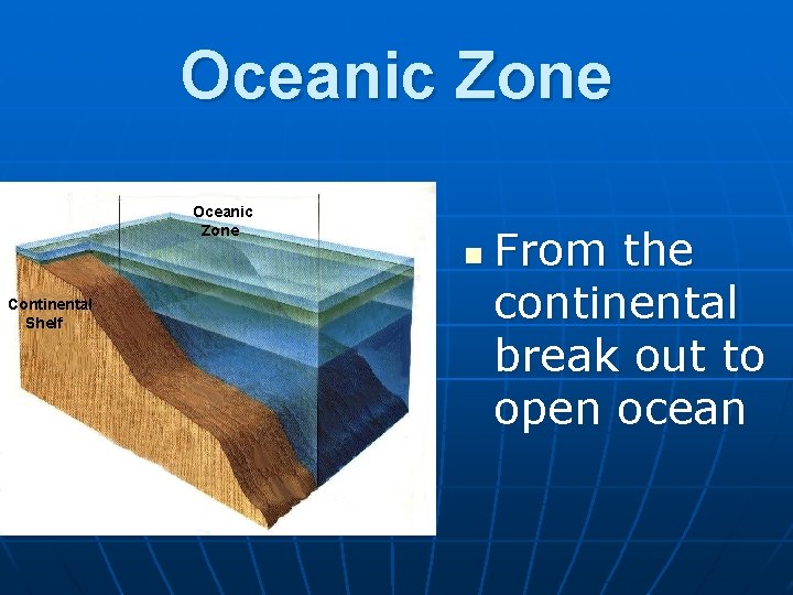 Oceanic Zone n Continental Shelf From the continental break out to open ocean 