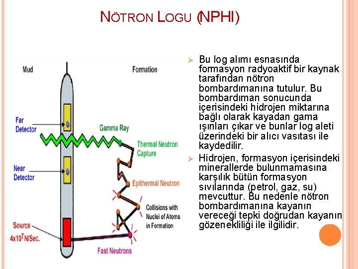NÖTRON LOGU (NPHI) Ø Ø Bu log alımı esnasında formasyon radyoaktif bir kaynak tarafından