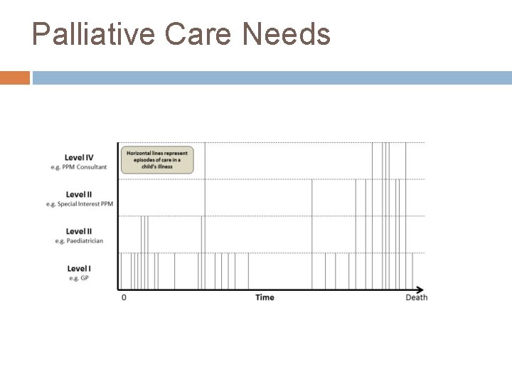 Palliative Care Needs 