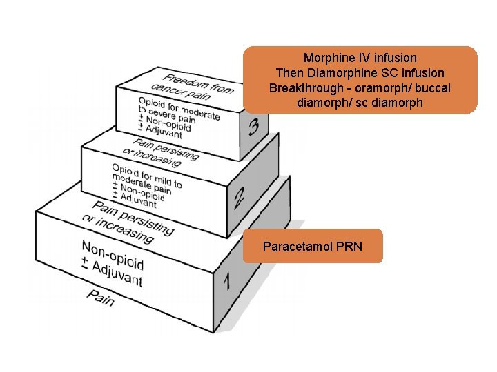 Morphine IV infusion Then Diamorphine SC infusion Breakthrough - oramorph/ buccal diamorph/ sc diamorph