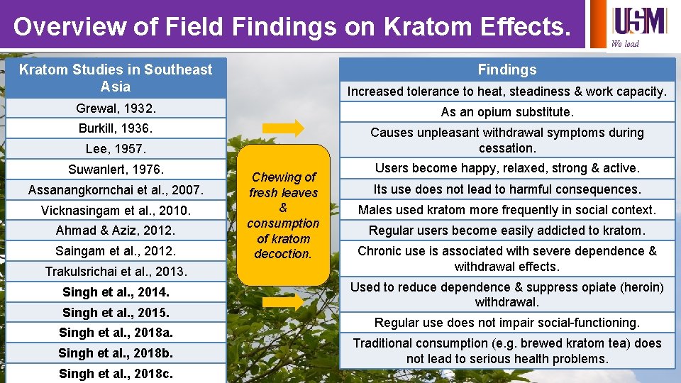 Overview of Field Findings on Kratom Effects. We lead Kratom Studies in Southeast Asia