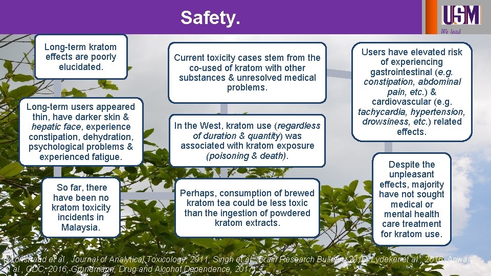 Safety. We lead Long-term kratom effects are poorly elucidated. Current toxicity cases stem from