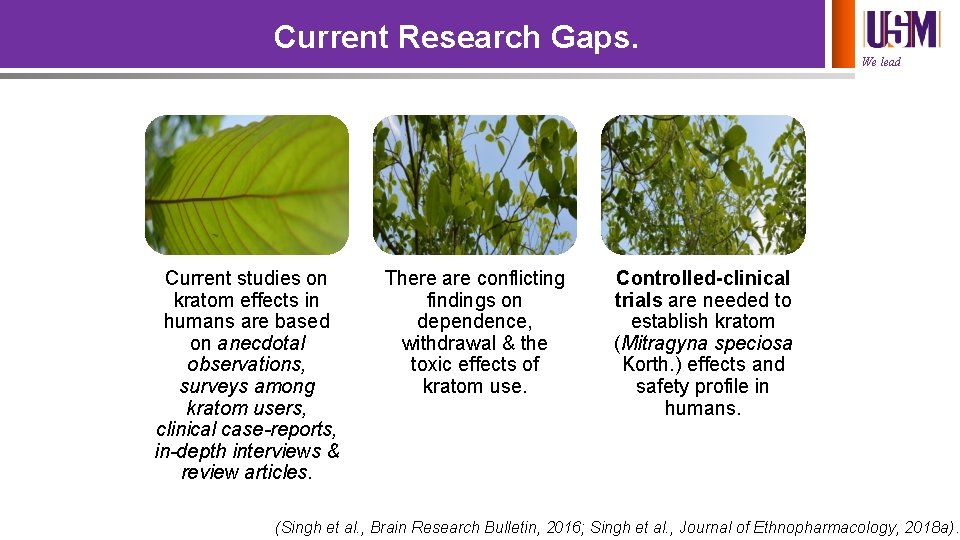 Current Research Gaps. We lead Current studies on kratom effects in humans are based