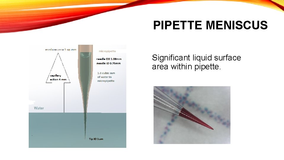 PIPETTE MENISCUS Significant liquid surface area within pipette. 