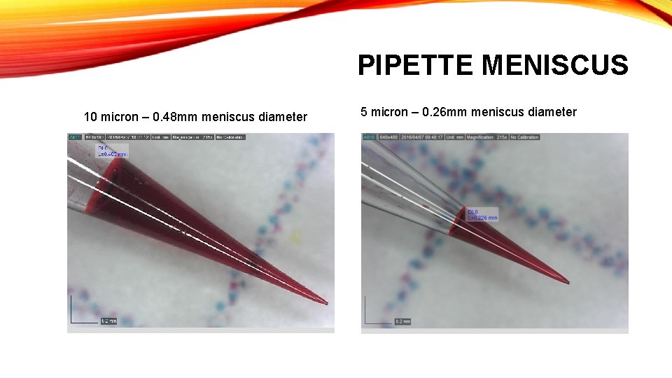 PIPETTE MENISCUS 10 micron – 0. 48 mm meniscus diameter 5 micron – 0.