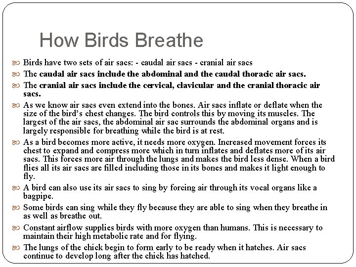 How Birds Breathe Birds have two sets of air sacs: - caudal air sacs