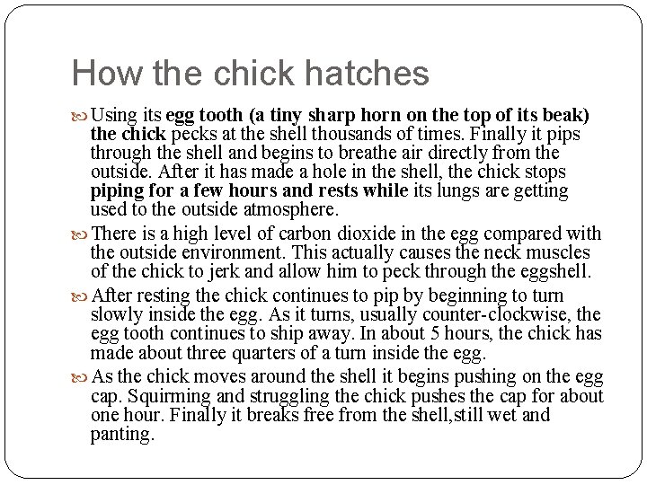 How the chick hatches Using its egg tooth (a tiny sharp horn on the