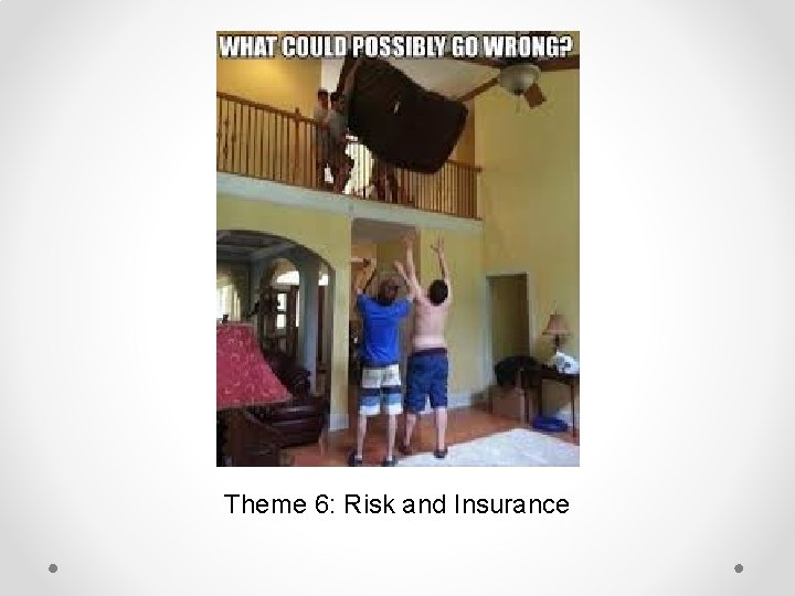 Theme 6: Risk and Insurance 