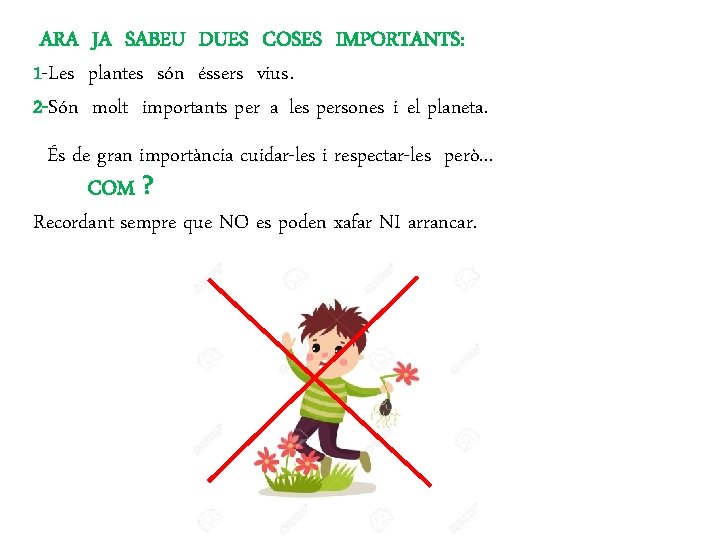 ARA JA SABEU DUES COSES IMPORTANTS: 1 -Les plantes són éssers vius. 2 -Són