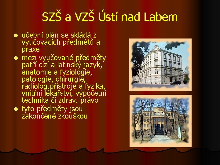 SZŠ a VZŠ Ústí nad Labem učební plán se skládá z vyučovacích předmětů a