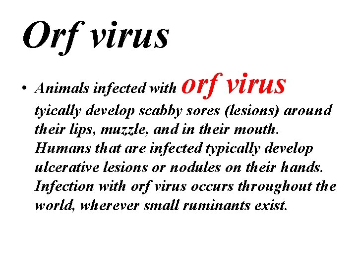 Orf virus orf virus • Animals infected with tyically develop scabby sores (lesions) around