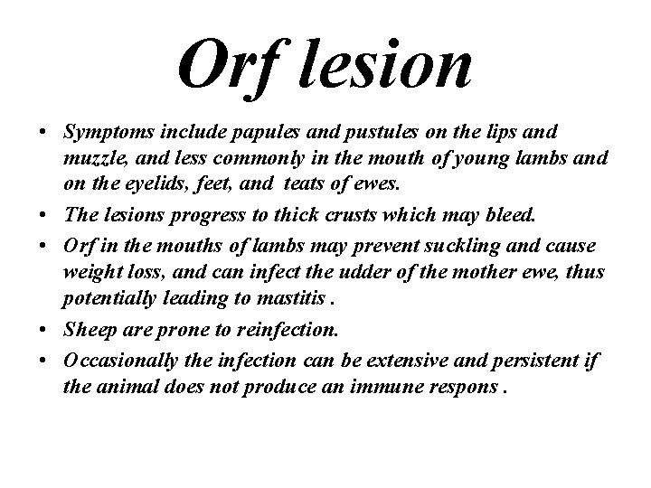 Orf lesion • Symptoms include papules and pustules on the lips and muzzle, and