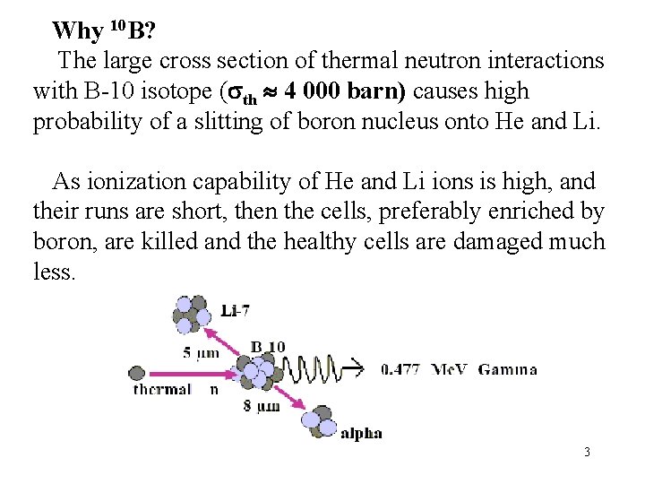 Why 10 B? The large cross section of thermal neutron interactions with B-10 isotope