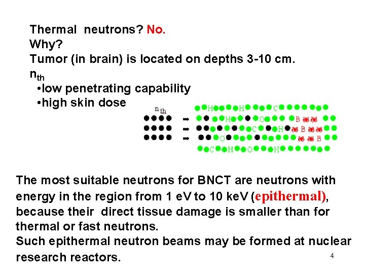 Thermal neutrons? No. Why? Tumor (in brain) is located on depths 3 -10 cm.