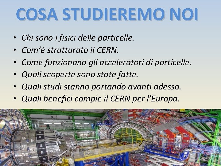 COSA STUDIEREMO NOI • • • Chi sono i fisici delle particelle. Com’è strutturato