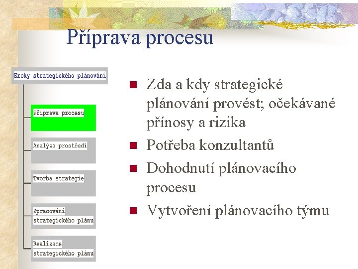 Příprava procesu n n Zda a kdy strategické plánování provést; očekávané přínosy a rizika