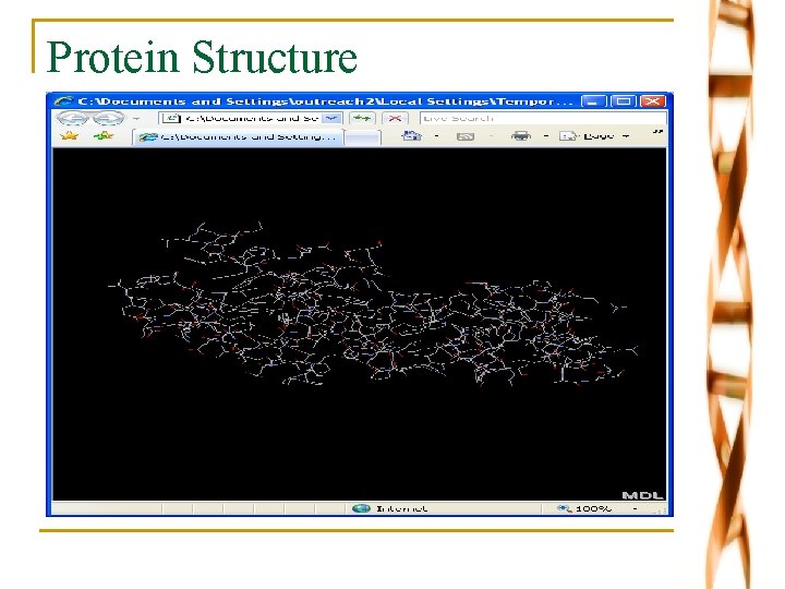 Protein Structure 