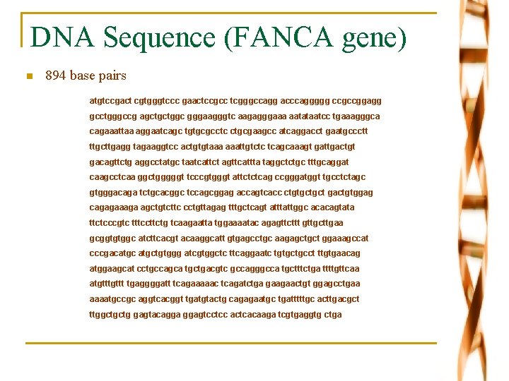 DNA Sequence (FANCA gene) n 894 base pairs atgtccgact cgtgggtccc gaactccgcc tcgggccagg acccaggggg ccgccggagg