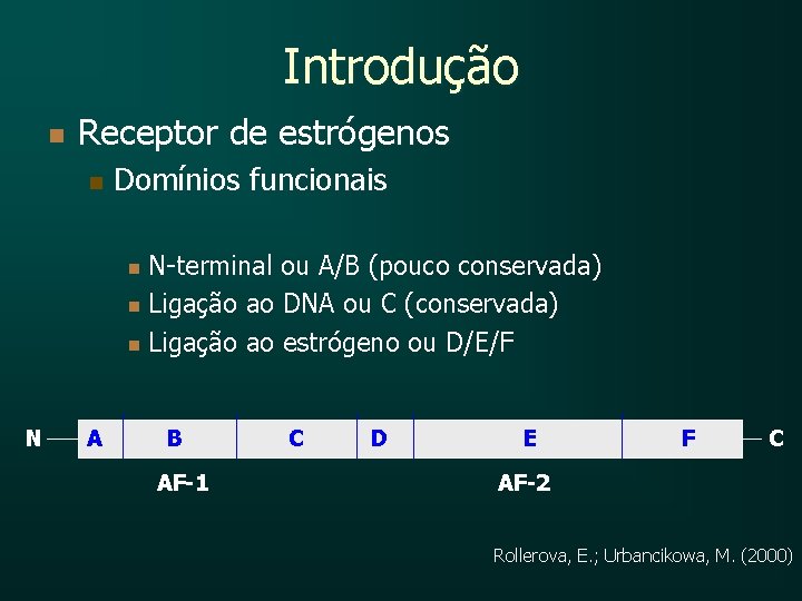 Introdução n Receptor de estrógenos n Domínios funcionais N-terminal ou A/B (pouco conservada) n