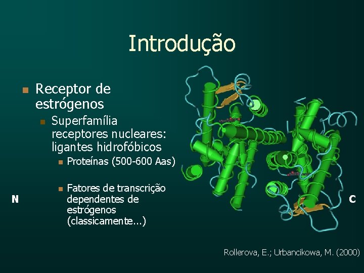 Introdução n Receptor de estrógenos n Superfamília receptores nucleares: ligantes hidrofóbicos n N n