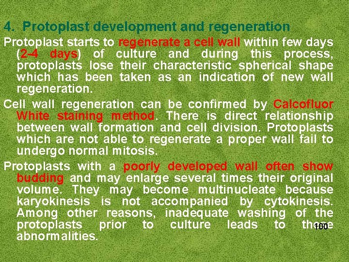 4. Protoplast development and regeneration Protoplast starts to regenerate a cell wall within few