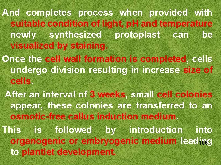 And completes process when provided with suitable condition of light, p. H and temperature