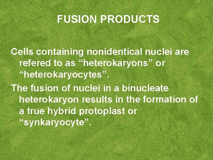 FUSION PRODUCTS Cells containing nonidentical nuclei are refered to as “heterokaryons” or “heterokaryocytes”. The