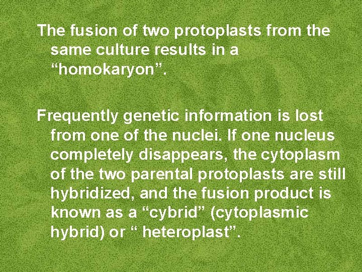 The fusion of two protoplasts from the same culture results in a “homokaryon”. Frequently