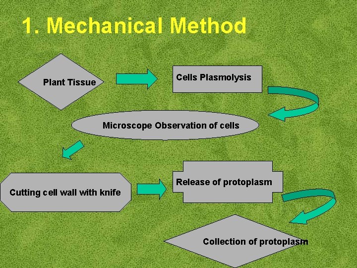 1. Mechanical Method Cells Plasmolysis Plant Tissue Microscope Observation of cells Release of protoplasm