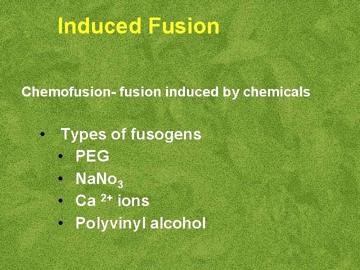 Induced Fusion Chemofusion- fusion induced by chemicals • Types of fusogens • PEG •