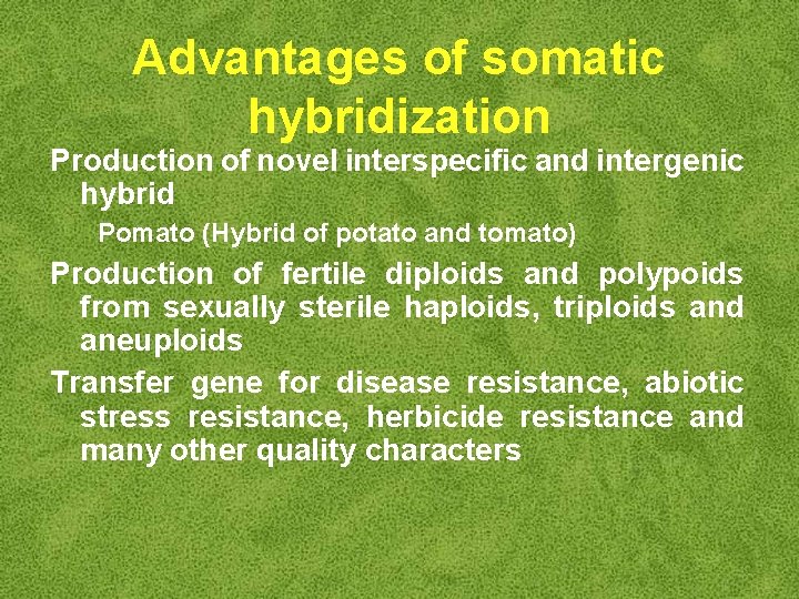 Advantages of somatic hybridization Production of novel interspecific and intergenic hybrid Pomato (Hybrid of