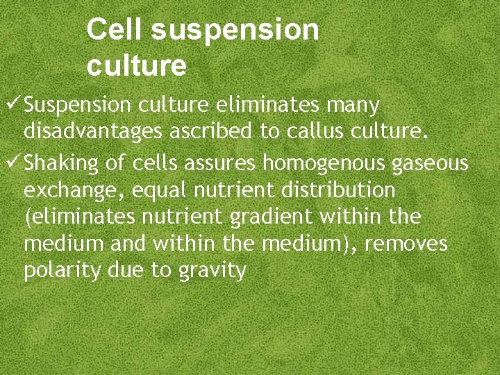 Cell suspension culture Suspension culture eliminates many disadvantages ascribed to callus culture. Shaking of