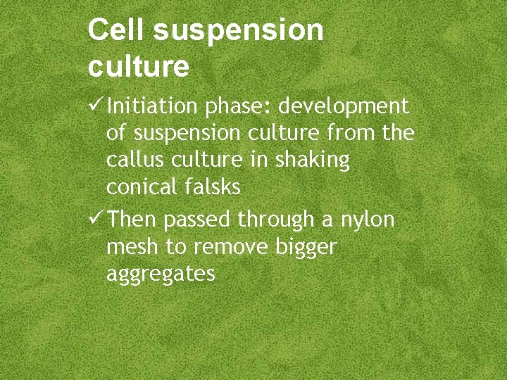 Cell suspension culture Initiation phase: development of suspension culture from the callus culture in