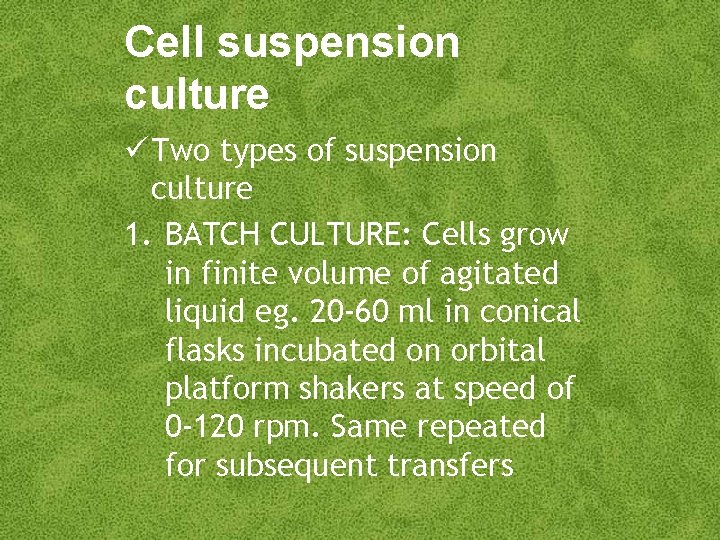 Cell suspension culture Two types of suspension culture 1. BATCH CULTURE: Cells grow in