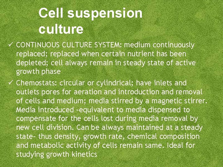 Cell suspension culture CONTINUOUS CULTURE SYSTEM: medium continuously replaced; replaced when certain nutrient has